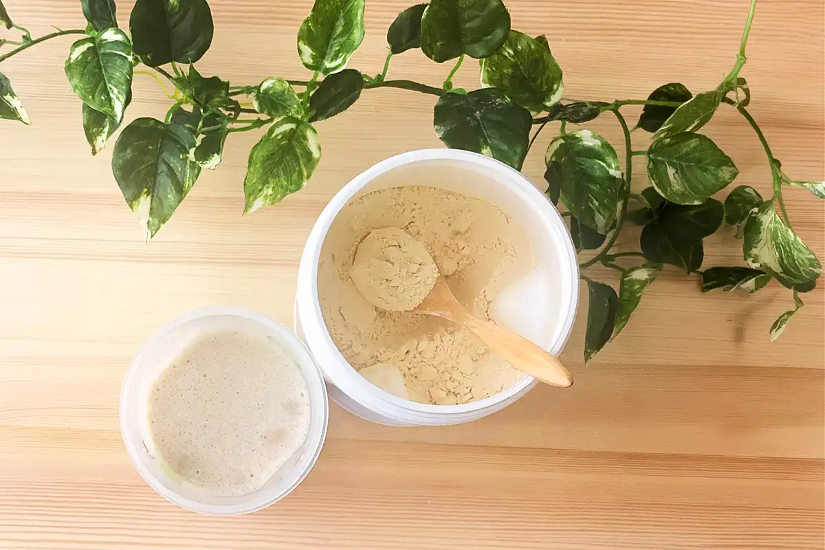 プロテイン 美味しい おすすめはこれ！初心者でも飲みやすい人気商品まとめ